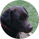 James Rayment James Rayment