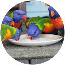 Lynda Brooks Lynda Brooks