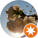 Watermelons ! Watermelons !