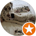 Dalillu Dallys Dalillu Dallys