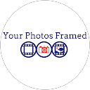 Tracey Rex Tracey Rex