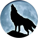 Lonely Wolf1 Lonely Wolf1