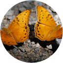 Brad and Penny Mitchell Brad and Penny Mitchell