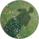 Paula Kehoe Paula Kehoe