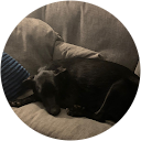 Jonathan Merry Jonathan Merry