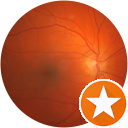 Paul Barham Paul Barham