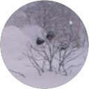 fireworld6666 fireworld6666