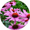 prathish r prathish r