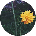 Dhakshana Nadarajah Dhakshana Nadarajah