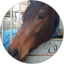 John Cassar John Cassar