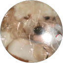 Marco Cecchin Marco Cecchin