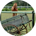 leeanne rankin leeanne rankin