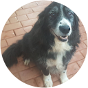 Charmaine Meredith Charmaine Meredith