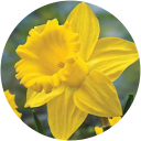 Meagan Roberts Meagan Roberts