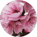 Angela Marxsen Angela Marxsen