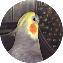 Daniel Elkington Daniel Elkington