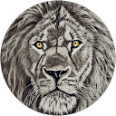 Mark Holcombe Mark Holcombe