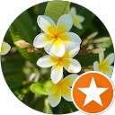 Rebecca Trimble-Roles Rebecca Trimble-Roles