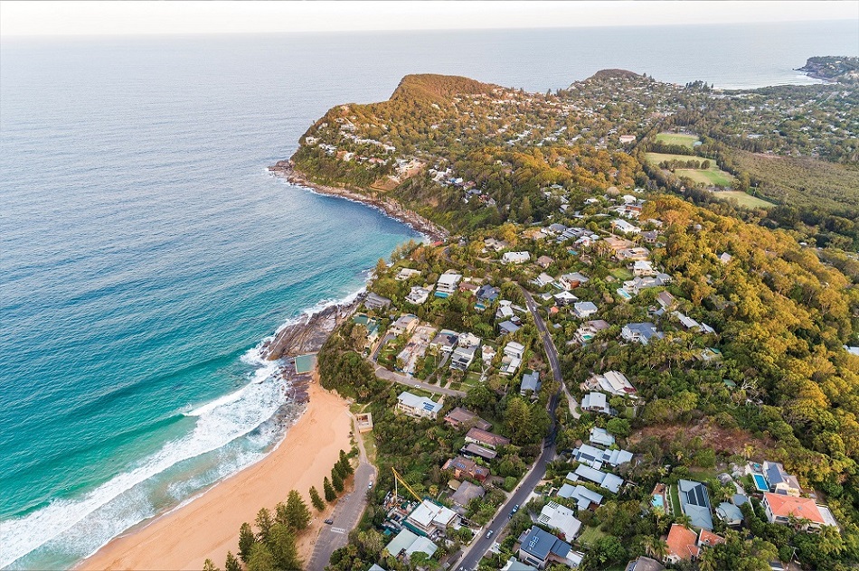 aerial view of Whale Beach