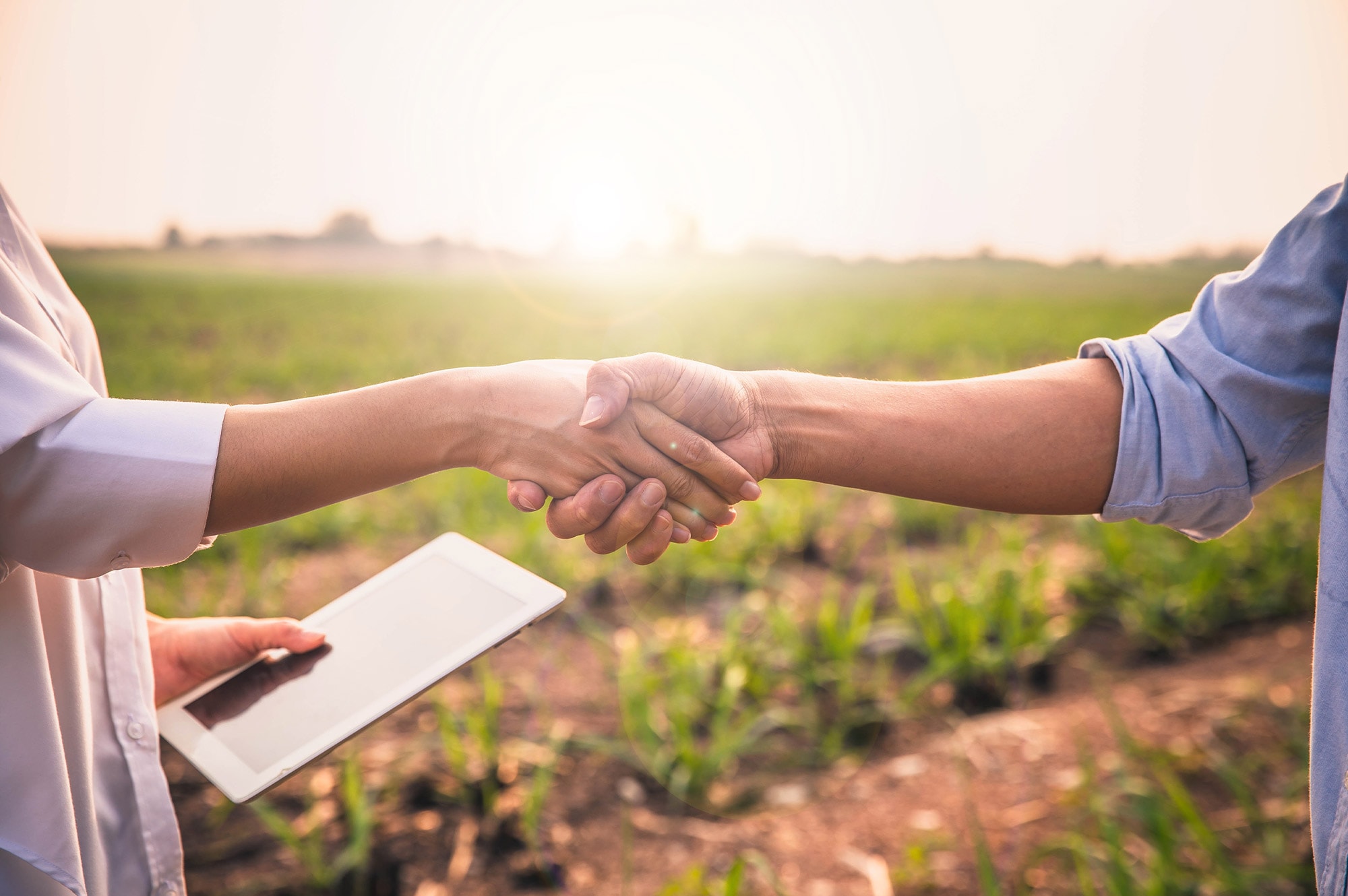 Buyer and seller shaking hands on farmland representing land loans and vacant land financing in Australia.
